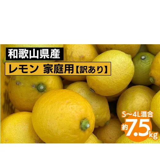 和歌山産 レモン 家庭用 7.5kg S～4L混合 【訳あり】 ※2026年1月中旬～3月下旬頃に順次発送予定 ※北海道・沖縄・離島への配送不可