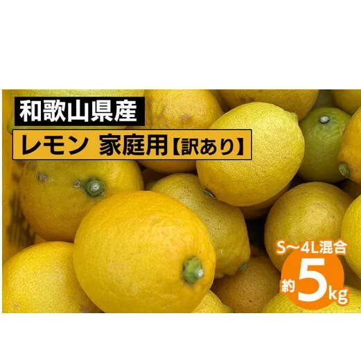 和歌山産 レモン 家庭用 5kg S～4L混合 訳あり ※2026年1月中旬～3月下旬頃に順次発送予定 ※北海道・沖縄・離島への配送不可
