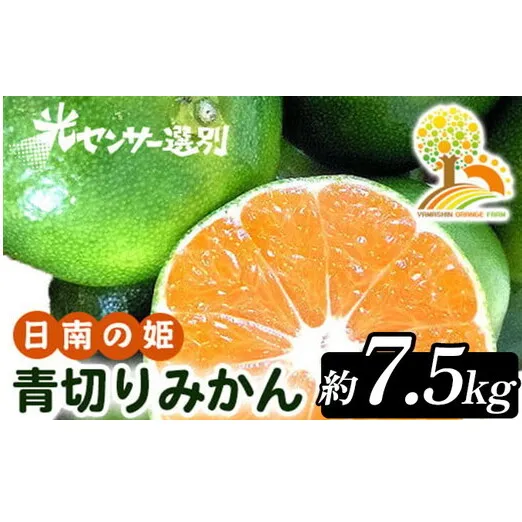 【先行予約】こだわりの青切りみかん 約7.5kg 農家直送 有機質肥料 100% サイズ混合 ｜ みかん 柑橘 果物 くだもの 果実 フルーツ 和歌山 有田
