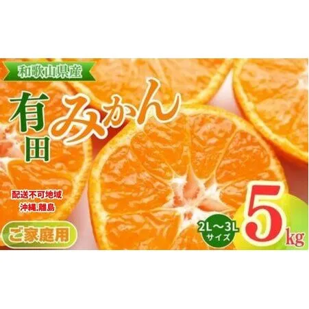 【ご家庭用】和歌山有田みかん約5kg(2L、3Lサイズ)【美浜町】〇