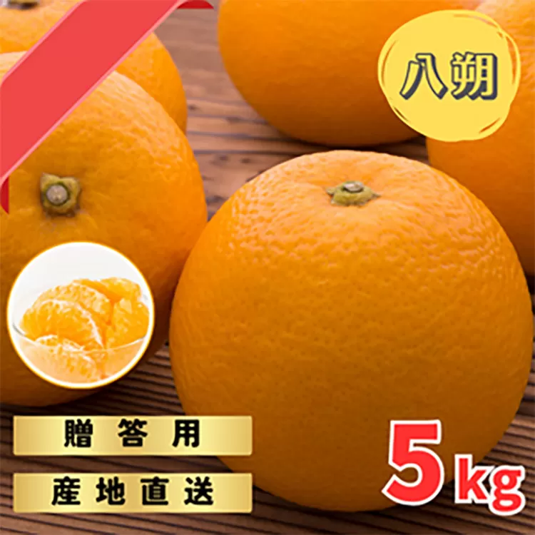 【先行予約】 贈答用 完熟 木なり ハッサク 5kg (M~2Lサイズ) | 八朔 旬 柑橘 フルーツ 果物 柑 産地直送 箱入 和歌山県