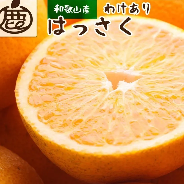 ＜1月より発送＞家庭用 はっさく2.5kg+250g（傷み補償分） ｜ 八朔みかん わけあり 訳あり ワケアリ ※2026年1月上旬～3月下旬頃に順次発送予定 ※北海道・沖縄・離島への配送不可 ◇