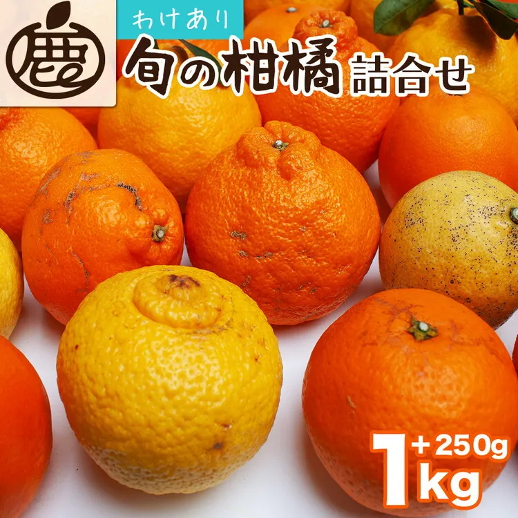 ＜1月より発送＞家庭用 柑橘詰合せ1kg+250g（傷み補償分）◇【訳あり・わけあり】【有田の春みかん詰め合わせ・フルーツ詰め合せ・オレンジつめあわせ】【光センサー選別】 ※北海道・沖縄・離島への配送不可 ※2026年1月上旬～4月下旬頃に順次発送予定