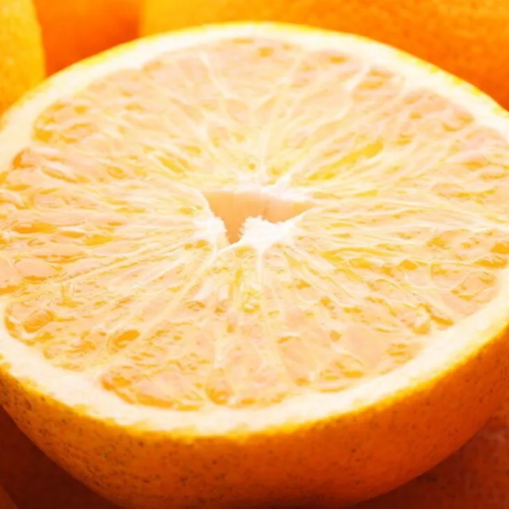 ＜4月より発送＞厳選 樹上完熟はっさく2.5kg+250g（傷み補償分）【有田の春みかん・五月八朔・さつきはっさく・木生りはっさく・きなりはっさく】【光センサー選別】