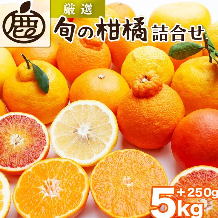 ＜1月より発送＞厳選 柑橘詰合せ5kg+250g（傷み補償分）◇【有田の春みかん詰め合わせ・フルーツ詰め合せ・オレンジつめあわせ】【光センサー選別】 ※北海道・沖縄・離島への配送不可 ※2026年1月上旬～4月下旬頃に順次発送予定