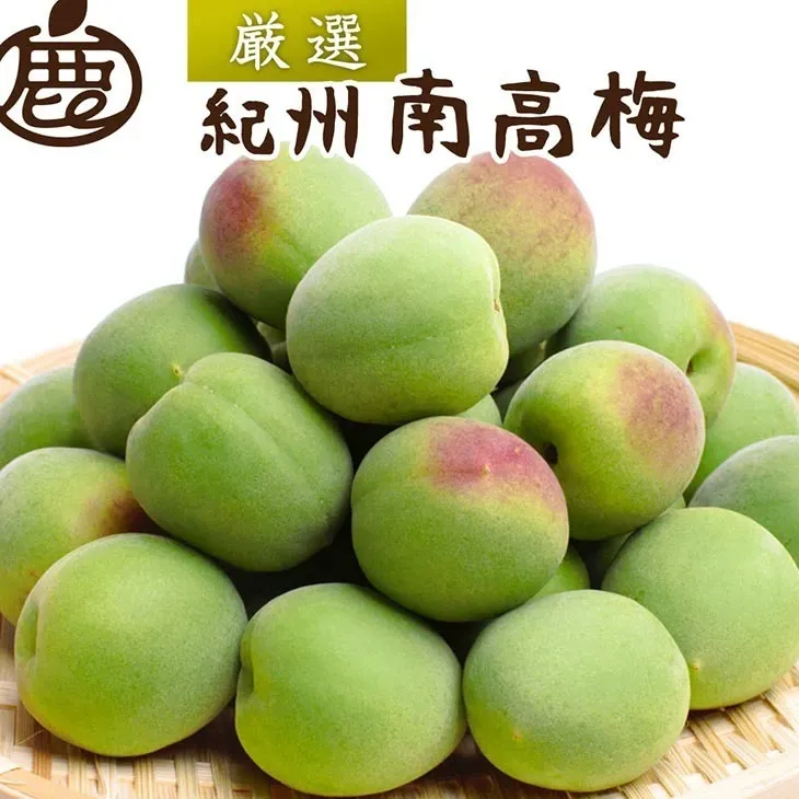 ＜6月発送＞厳選 紀州南高梅(青梅)2kg+60g（傷み補償分）〇朝摘み・とれたて直送便】【梅干し・梅酒・梅ジュース】【和歌山産】※北海道・沖縄・離島への配送不可　※2025年6月上旬～6月下旬頃に順次発送予定