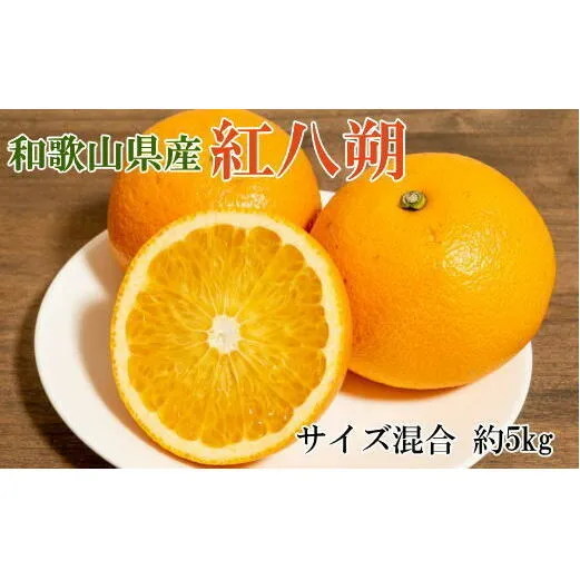 【希少品】和歌山県産紅八朔約5kg（サイズ混合） ※2026年1月下旬～2月中旬頃に順次発送予定