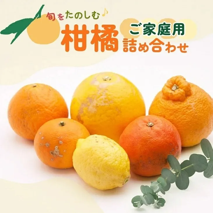 ＜1月より発送＞家庭用 柑橘詰合せ7.5kg+250g（傷み補償分）◇【訳あり・わけあり】【有田の春みかん詰め合わせ・フルーツ詰め合せ・オレンジつめあわせ】【光センサー選別】 ※北海道・沖縄・離島への配送不可 ※2026年1月上旬～4月下旬頃に順次発送予定