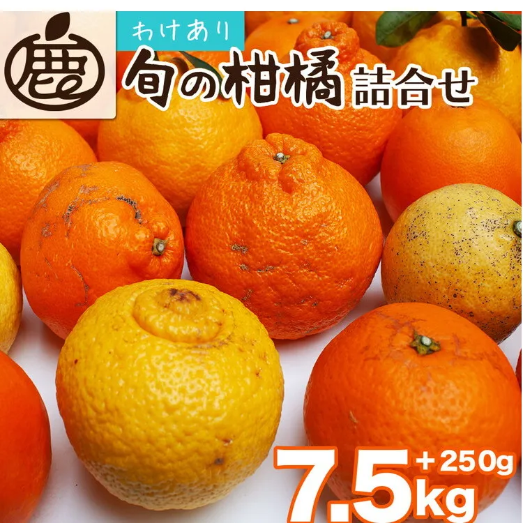 <1月より発送>家庭用 柑橘詰合せ7.5kg+250g(傷み補償分)◇【訳あり・わけあり】【有田の春みかん詰め合わせ・フルーツ詰め合せ・オレンジつめあわせ】【光センサー選別】