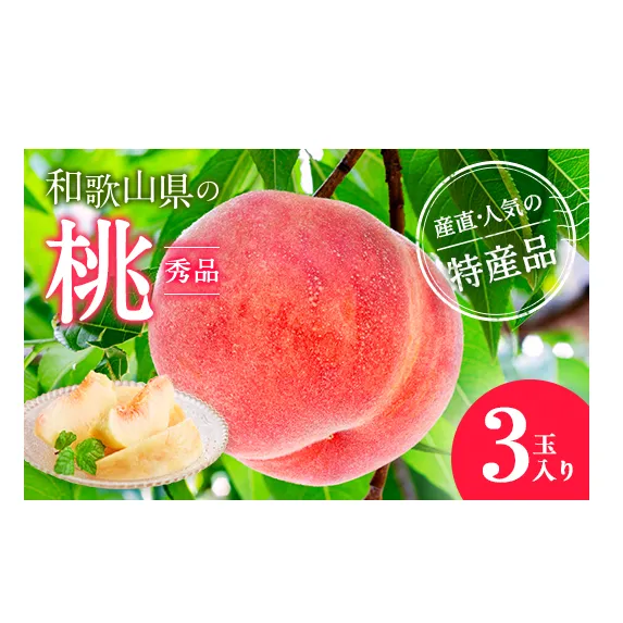 【産直・人気の特産品】和歌山の桃　3玉入り
※着日指定不可
※北海道・沖縄・離島への配送不可
※2025年6月下旬～8月上旬頃