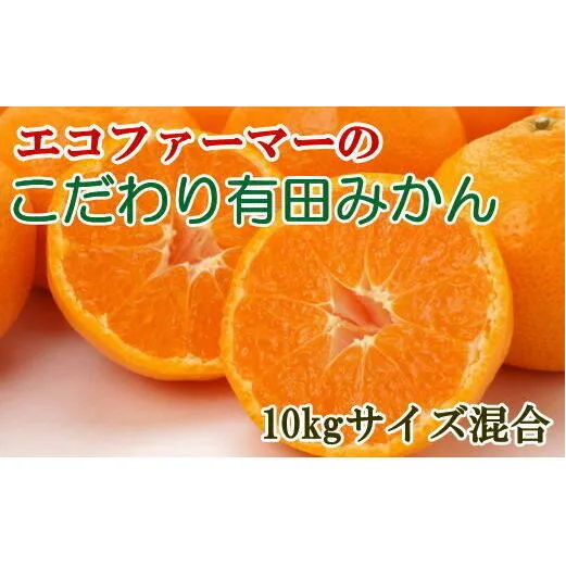 エコファーマーのこだわり有田みかん約10kg(サイズ混合)
※着日指定不可
※2024年11月中旬～2025年1月中旬頃に順次発送予定