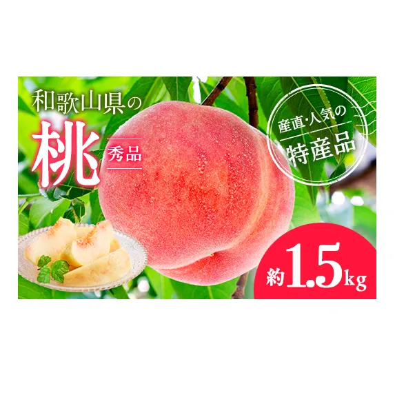 【産直・人気の特産品】和歌山の桃 約1.5kg
※北海道・沖縄・離島への配送不可
※2025年6月下旬～8月上旬頃に順次発送予定