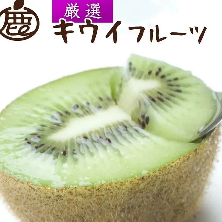 ＜2025年11月より発送＞厳選 キウイフルーツ2.5kg+250g（傷み補償分）◇ ※北海道・沖縄・離島への配送不可 ※2025年11月中旬～2026年4月下旬頃に順次発送予定