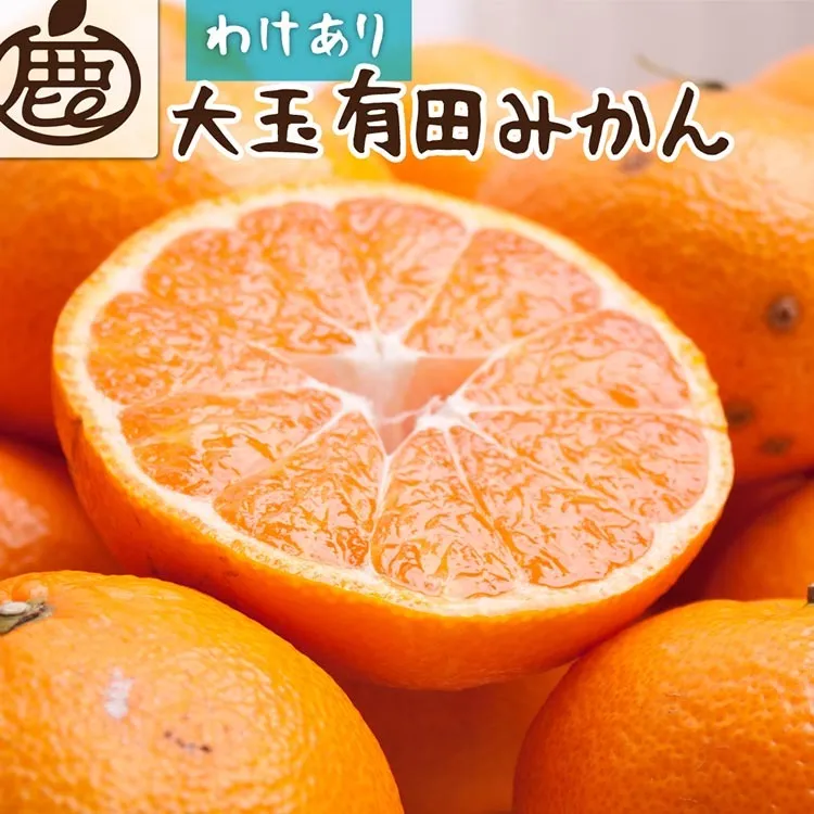 家庭用 大きな有田みかん10kg+250g（傷み補償分）【わけあり・訳あり】【光センサー選果】 ※北海道・沖縄・離島への配送不可 ※2025年11月上旬～2026年1月下旬頃に順次発送予定