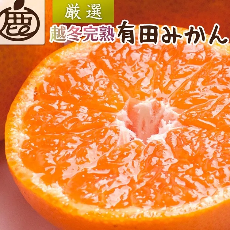 ＜2025年1月より発送＞厳選 越冬完熟みかん5kg+150g（傷み補償分）【ハウスみかん】【光センサー選果】◇ ※北海道・沖縄・離島への配送不可 ※2025年1月中旬～2月下旬頃に順次発送予定