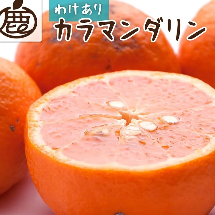 ＜4月より発送＞家庭用 カラマンダリン7.5kg+250g（傷み補償分）◇【南津海・なつみ】【希少な春柑橘】【わけあり・訳あり】【みかんと同じように食べられます】　※北海道・沖縄・離島への配送不可　※2026年4月上旬～5月下旬頃に順次発送予定