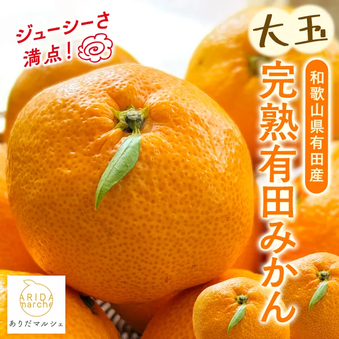 【2025年11月中旬〜発送】【果汁たっぷり】迫力満点! 大粒 有田みかん 3.1kg ※北海道・沖縄・離島への配送不可 ※2025年11月中旬～2026年1月中旬頃に順次発送予定