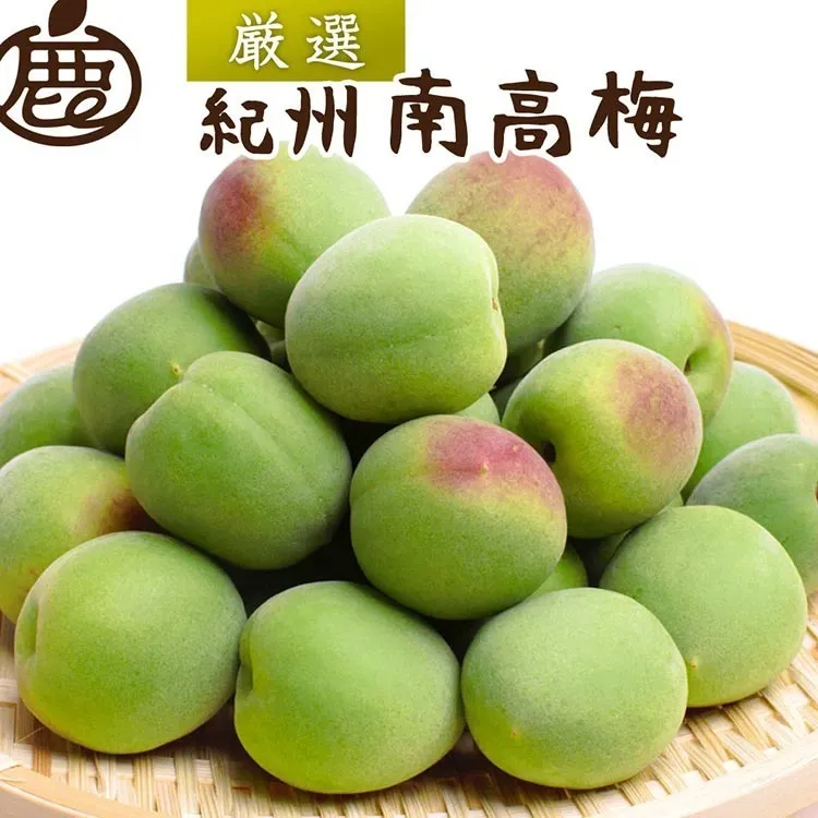 ＜6月発送＞ 厳選 紀州南高梅(青梅)10kg+300g（傷み補償分）〇【朝摘み・とれたて直送便】【梅干し・梅酒・梅ジュース】【和歌山産】 ※北海道・沖縄・離島への配送不可 ※2025年6月上旬～6月下旬頃に順次発送予定