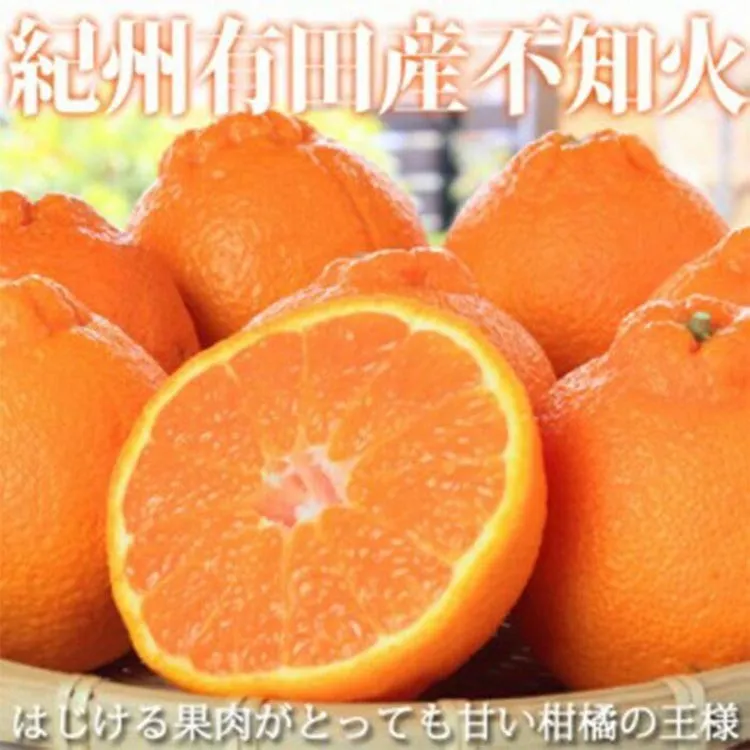 [定期便][2・4・6・8・10・12月 全6回]和歌山産 旬のフルーツ お楽しみ 定期便 [魚鶴]◆|不知火 清見 スイカ 桃 みかん フルーツ ふるーつ 果物 くだもの 詰め合わせ 果物定期便 オレンジ もも かき 国産 産地直送 美浜町