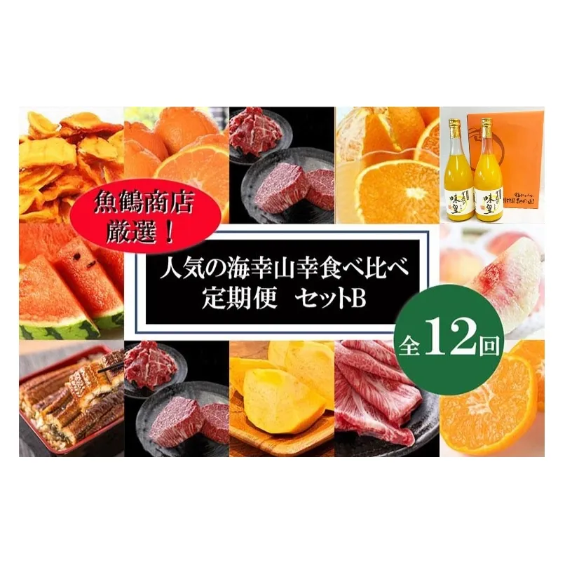 〈毎月定期便〉人気の海幸山幸食べ比べ セットB 【定期便全12回】【魚鶴厳選】◆