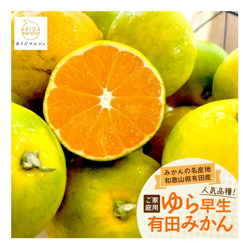 【先行予約】【秋の美味】【農家直送】ゆら早生有田みかん（ご家庭用）約10kg ふるさと納税 みかん ※2025年10月上旬～10月下旬頃に順次発送予定 ※北海道・沖縄・離島への配送不可