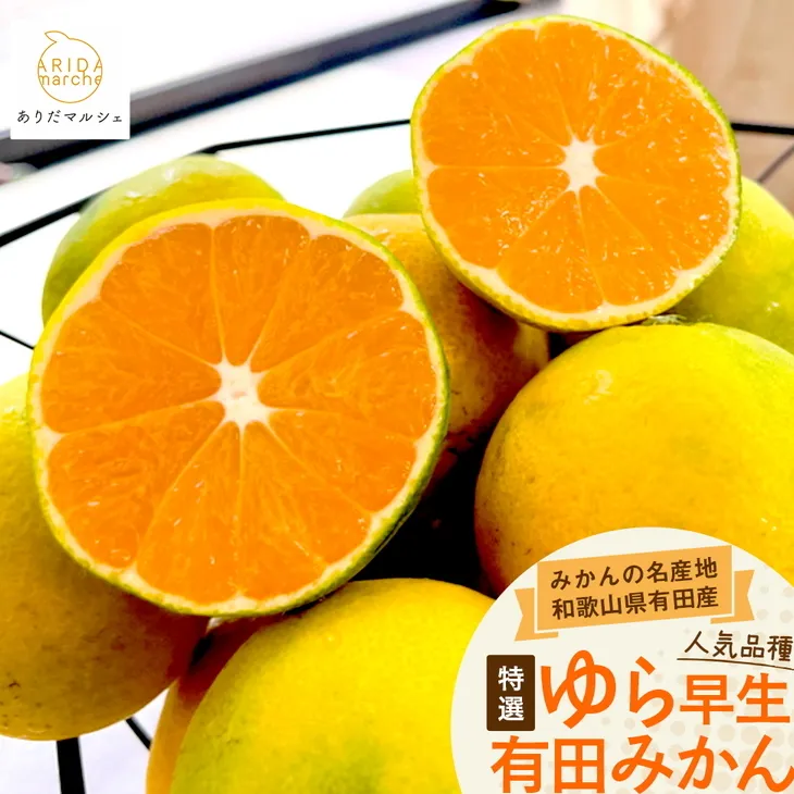 【先行予約】特撰 ゆら早生有田みかん 1.2kg(1kg+200g(傷み補償分))