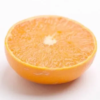 ＜2月より発送＞厳選 せとか1.5kg+45g（傷み補償分）【柑橘・春みかんの王様】【光センサー選果・食べ頃出荷】◇ ※2025年2月中旬～3月下旬頃に順次発送予定 ※北海道・沖縄・離島への配送不可