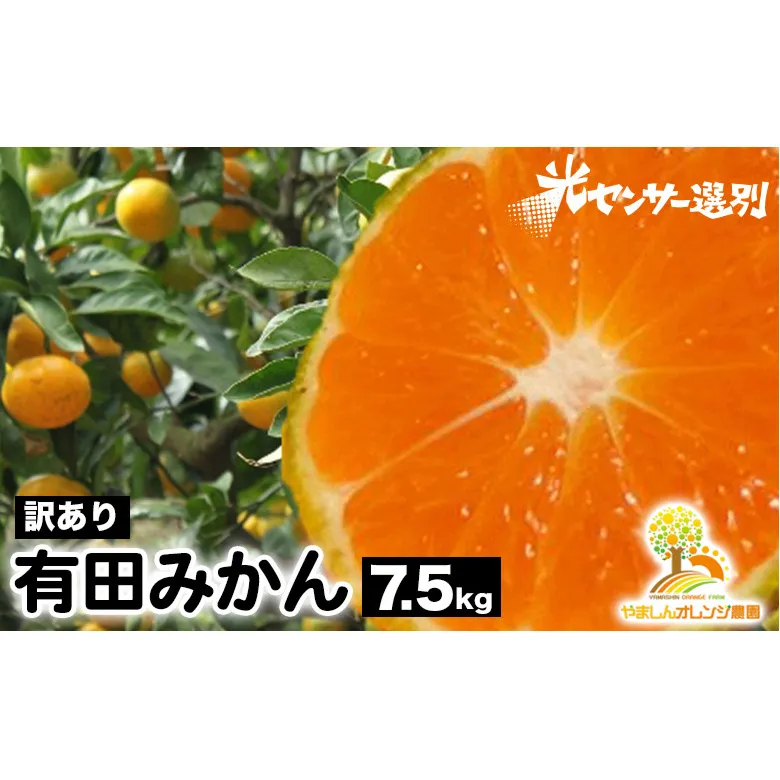 【訳あり】有田みかん 7.5kg | 農家直送 訳あり ご家庭用 サイズ混合 光センサー選別 温州みかん みかん 訳あり わけあり 家庭用  ※2025年11月中旬～12月下旬頃に順次発送予定 ※北海道・沖縄・離島への配送不可