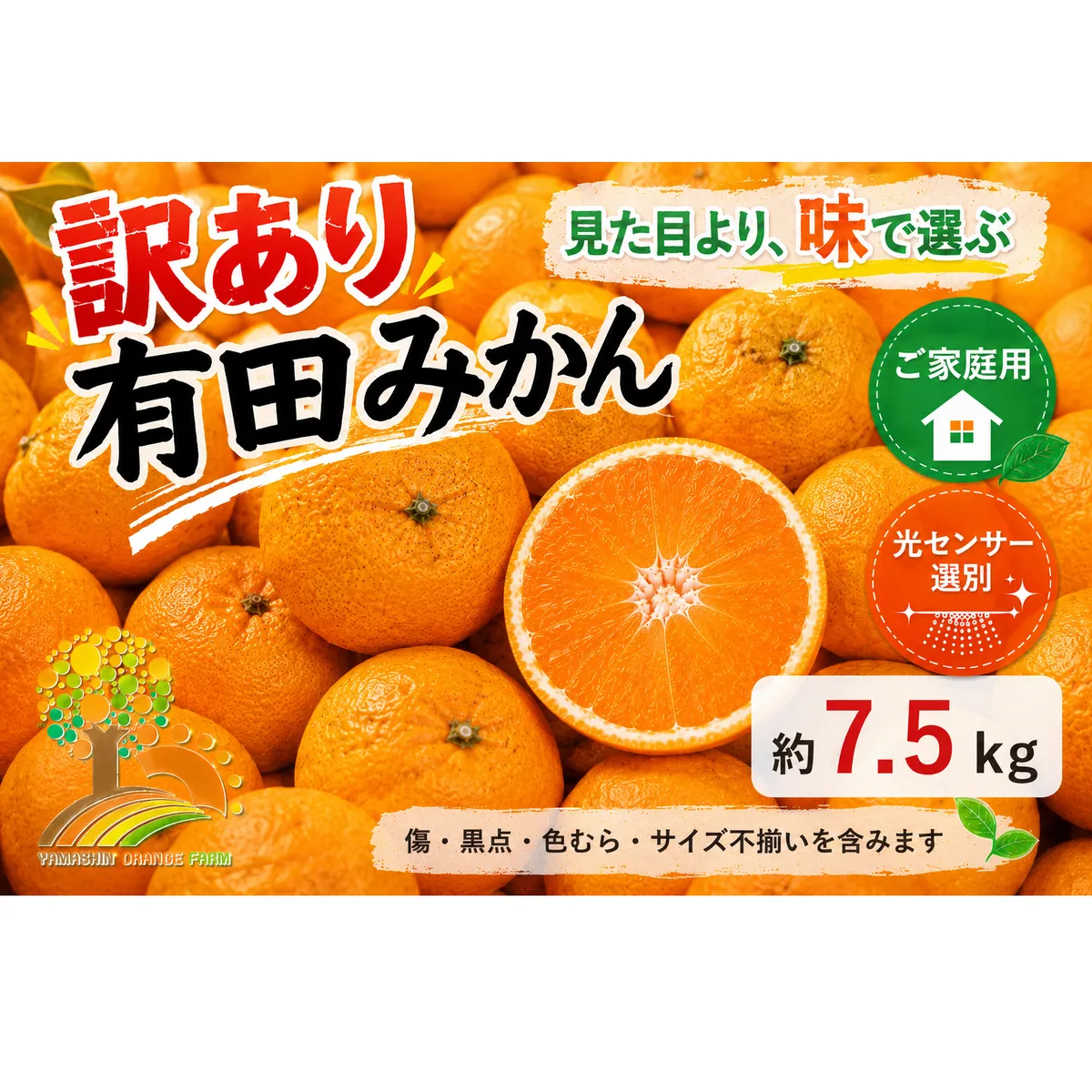 【訳あり】有田みかん 7.5kg | 農家直送 訳あり ご家庭用 サイズ混合 光センサー選別 温州みかん みかん 訳あり わけあり 家庭用