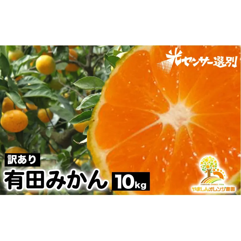 【訳あり】有田みかん 10kg | 農家直送 訳あり ご家庭用 サイズ混合 光センサー選別 温州みかん みかん 訳あり わけあり 家庭用 ※2025年11月中旬～2026年1月上旬頃に順次発送予定 ※北海道・沖縄・離島への配送不可