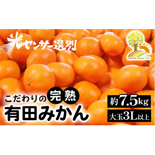 有田みかん 約7.5kg 大玉3L以上 有機質肥料100% ＼光センサー選別／ 農家直送 ※北海道・沖縄・離島への配送不可◇※2025年11月中旬～2026年1月上旬頃に順次発送予定