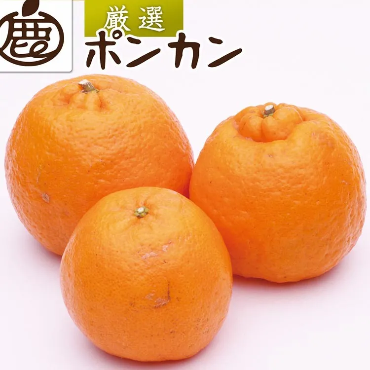 ＜1月より発送＞厳選 ポンカン2.5kg+250g（傷み補償分） ※北海道・沖縄・離島への配送不可 ※2026年1月下旬～2月下旬頃に順次発送予定