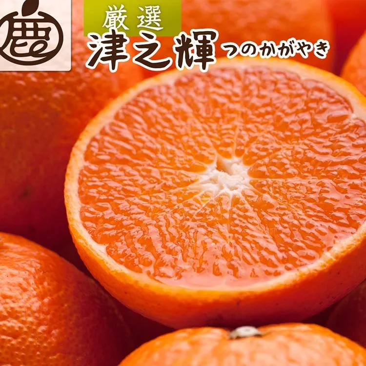＜2月より発送＞厳選 津之輝1kg+250g（傷み補償分）｜つのかがやき【光センサー選別】 ｜ 柑橘 フルーツ 果物 濃厚 春 旬 和歌山 先行予約 選べる 国産 産地直送 春柑橘 美浜町　※北海道・沖縄・離島への配送不可 ※2026年2月上旬～4月中旬頃に順次発送予定