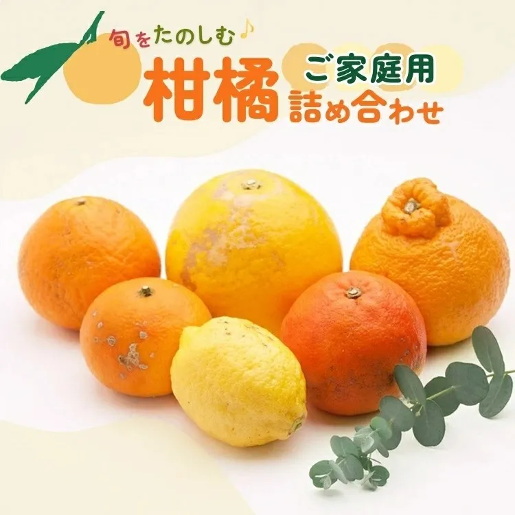 ＜1月より発送＞家庭用 柑橘詰合せ5kg+250g（傷み補償分）◇【訳あり・わけあり】【有田の春みかん詰め合わせ・フルーツ詰め合せ・オレンジつめあわせ】【光センサー選別】 ※北海道・沖縄・離島への配送不可 ※2026年1月上旬～4月下旬頃に順次発送予定