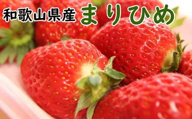 【5月発送】和歌山県産ブランドいちご「まりひめ」300g×2パック入り ※北海道・沖縄・離島への配送不可 ※2026年5月上旬～5月下旬頃に順次発送予定