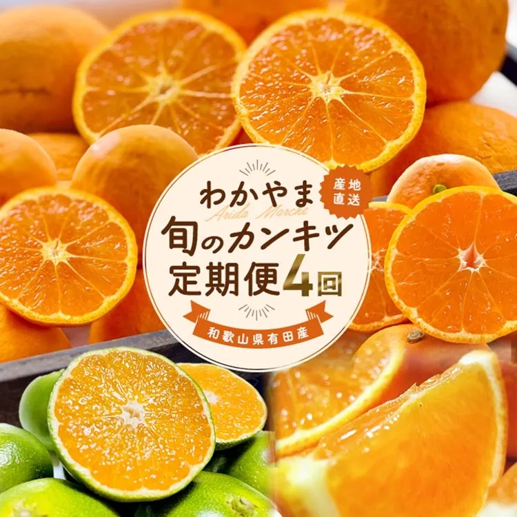 【定期便】〈3・5・9・11月 全4回〉わかやま旬のカンキツ【M】（春の柑橘 ・初夏の柑橘・青切りみかん・完熟みかん）◆ ｜フルーツ ふるーつ 果物 くだもの 詰め合わせ 果物定期便 オレンジ みかん 国産 産地直送 美浜町 ※北海道・沖縄・離島への配送不可