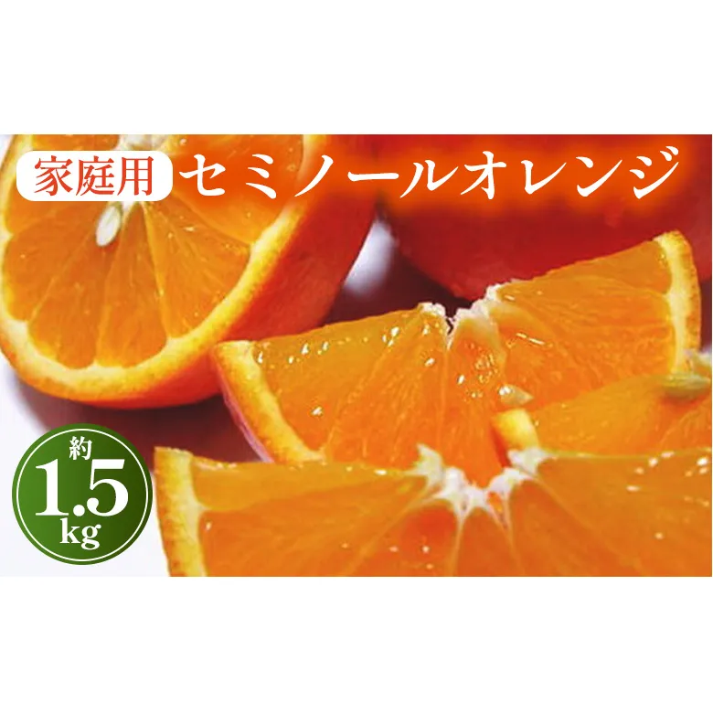 【先行予約】【春の美味】【農家直送】爽快カンキツ　セミノールオレンジ（ご家庭用）1.5kg ｜ 柑橘 フルーツ 果物 くだもの 食品 人気 おすすめ 選べる 国産 美浜町