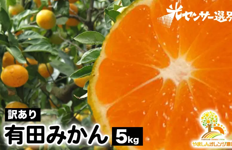 【先行受付】【訳あり】有田みかん 5kg ｜ 農家直送 訳あり ご家庭用 サイズ混合 光センサー選別 温州みかん みかん 訳あり わけあり 家庭用 ※2025年11月中旬～12月下旬頃に順次発送予定※北海道・沖縄・離島への配送不可