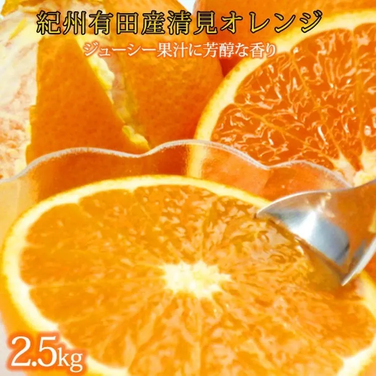 とにかくジューシー清見オレンジ　2.5kg
※2026年3月下旬頃〜2026年4月中旬頃に順次発送予定