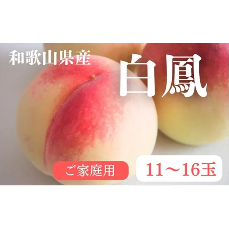【先行予約】和歌山県産 白鳳 桃 11～16玉入り 訳あり ご家庭用 数量限定【2025年7月上旬～7月下旬頃に順次発送予定】※離島への配送不可 ◇ | 果物 もも モモ 果実 和歌山県 白鳳 桃 くだもの お取り寄せ ご当地 フルーツ 特産品 名産品