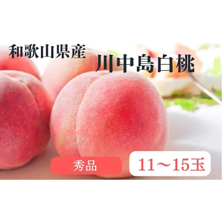 和歌山県産 川中島白桃 桃 11～15玉入り 秀品 先行予約【2025年7月中旬以降発送】※離島への配送不可 | 和歌山県 川中島 白桃 フルーツ 果物 くだもの 桃 もも 大玉 モモ ピーチ ギフト お取り寄せ 贈答用 秀 家庭用 自宅用 贈答品 化粧箱入