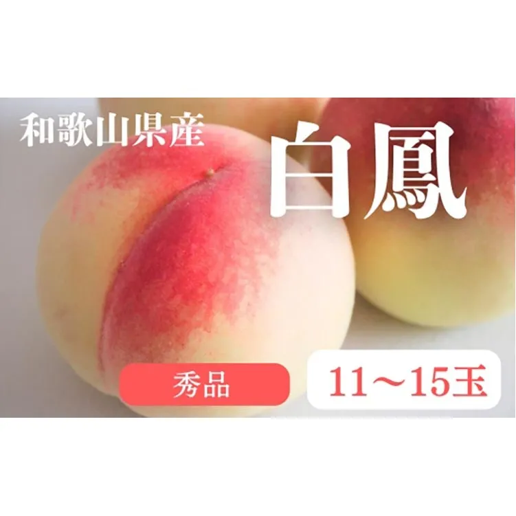 和歌山県産 白鳳 桃 11～15玉入り 秀品 先行予約【2025年7月上旬以降発送】 ※離島への配送不可 | 和歌山県 白鳳 フルーツ 果物 くだもの 桃 もも 大玉 モモ ピーチ ギフト お取り寄せ 贈答用 秀 家庭用 自宅用 贈答品 化粧箱入