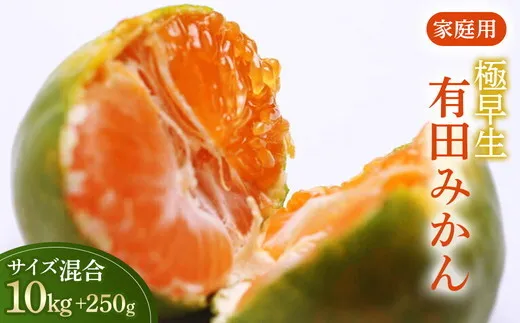 家庭用 極早生有田みかん10kg+250g（傷み補償分）【YN26・ゆら早生】【わけあり・訳あり】◇