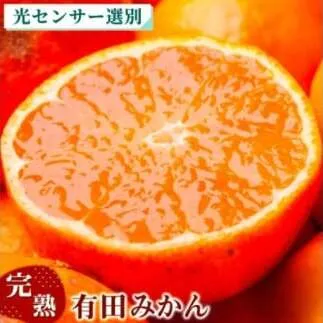 〈11月より発送〉完熟 プレミアム有田みかん 1kg+250g（傷み補償分） ｜ 柑橘 果物 フルーツ 糖度 甘い 濃厚 コク ジューシー 光センサー ※北海道・沖縄・離島への配送不可 ※2025年11月上旬～2026年1月下旬頃に順次発送予定