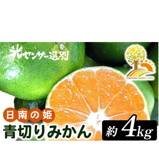 【先行予約】こだわりの青切りみかん 約4kg 農家直送 有機質肥料 100% サイズ混合 ｜ みかん 柑橘 果物 くだもの 果実 フルーツ 和歌山 有田