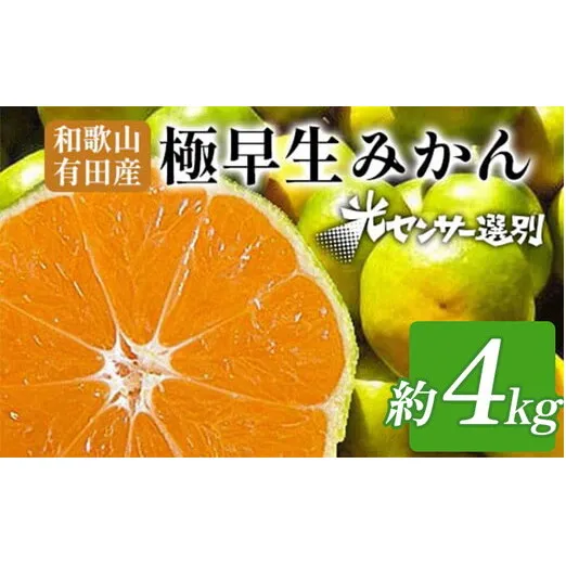 【先行予約】こだわりの極早生みかん 約4kg 農家直送 有機質肥料100% サイズ混合 ｜ みかん 極早生 早生 柑橘 果物 くだもの 果実 フルーツ 和歌山 有田