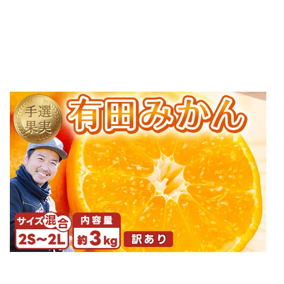 【まごころ手選別】和歌山産 有田みかん 3kg 家庭用(2S～2Lサイズ混合) ※2025年11月上旬～2026年1月下旬頃に順次発送予定