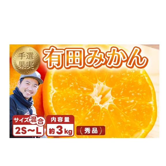 【まごころ手選別】和歌山産 有田みかん 3kg 1箱 (2S～Lサイズ混合) ※2025年11月上旬～2026年1月下旬頃に順次発送予定