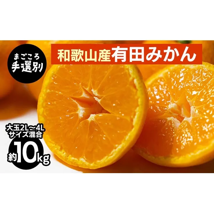 【まごころ手選別】和歌山の有田みかん 10kg 大玉(2L～4Lサイズ混合) ※2025年11月上旬～2026年1月下旬頃に順次発送予定