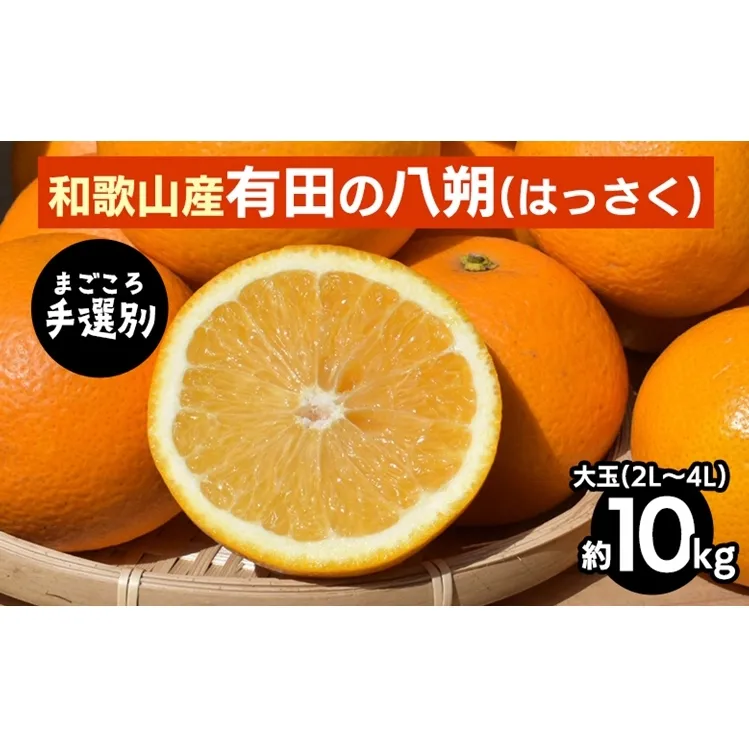【まごころ手選別】有田のはっさく【八朔】10kg大玉(2L～4L) ※2026年1月上旬～3月下旬頃に順次発送予定